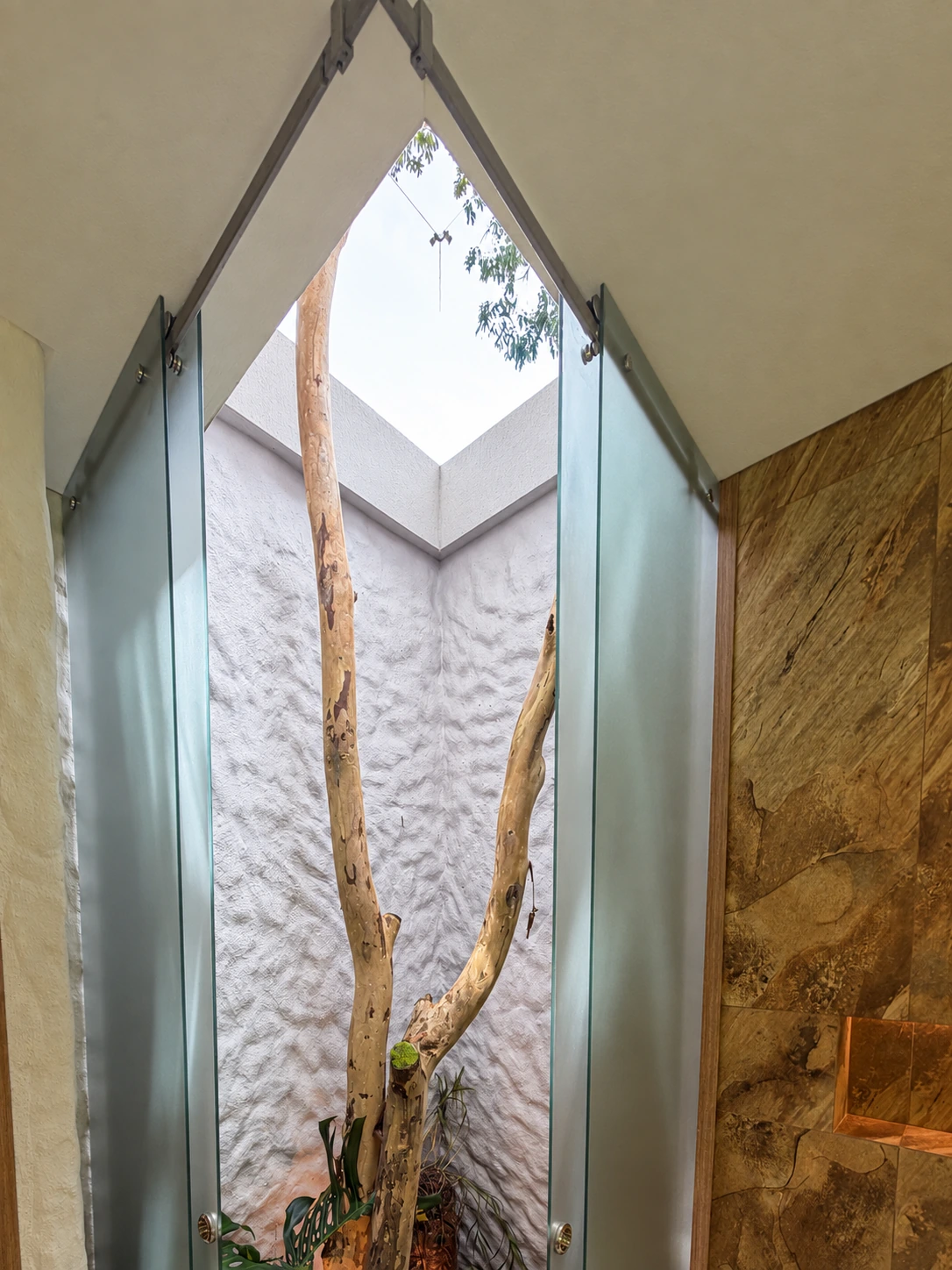 El árbol integrado en el patio interior de Casa Colina